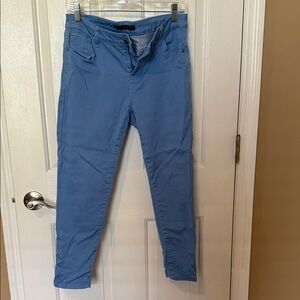 Truth + Theory Petite Light Blue Pants